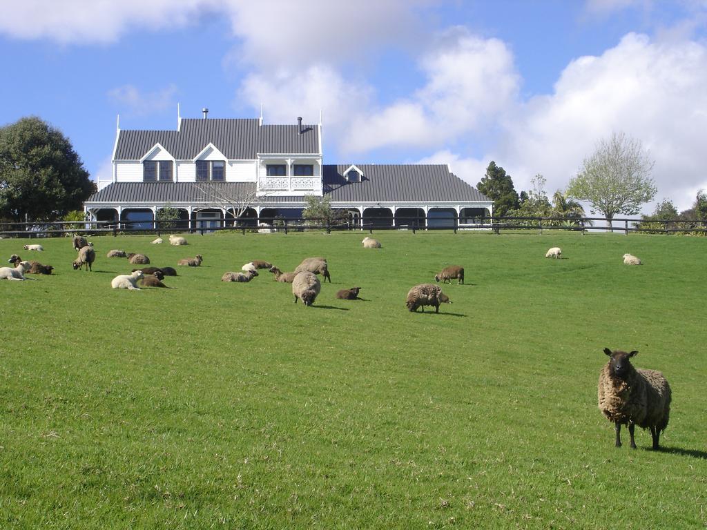 Country Homestead At Black Sheep Farm Waipu Buitenkant foto