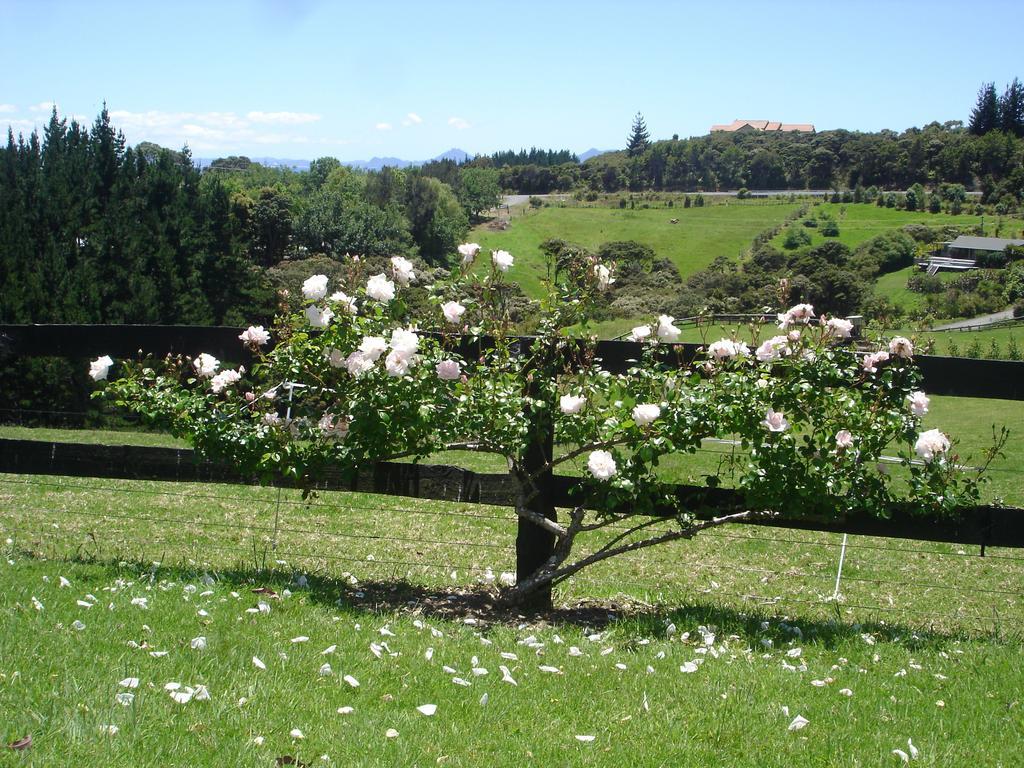 Country Homestead At Black Sheep Farm Waipu Buitenkant foto